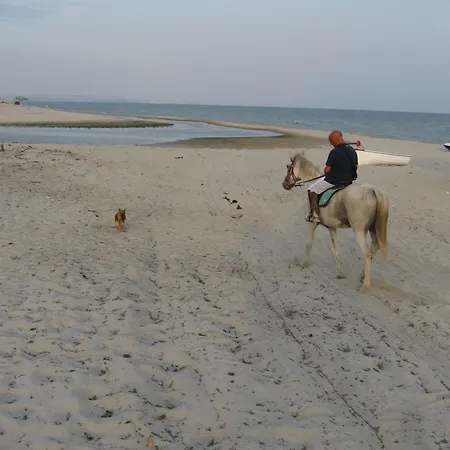 Acqua Di Friso Alloggio per agriturismo Cropani