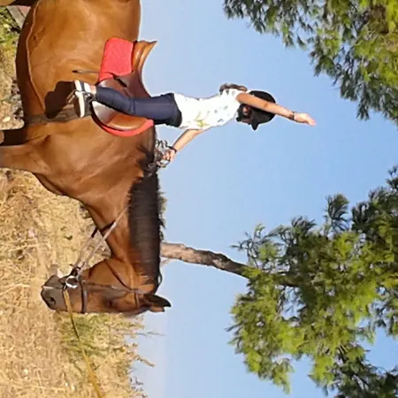 农家乐 Acqua Di Friso *