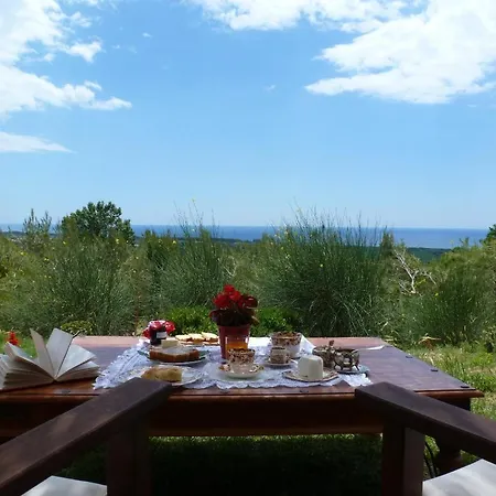 팜스테이 Acqua Di Friso *